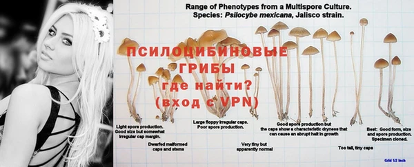 бошки Бугульма